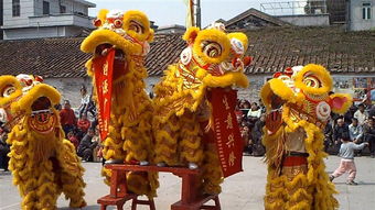 文艺表演 福兴隆龙狮团 龙狮团,广东庆典策划,广东文艺表演,广东礼仪公司,广州文艺表演,广州庆典策划,广州礼仪公司